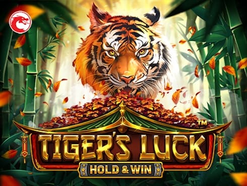 ٹائیگرز لک - ہولڈ اینڈ ون screenshot